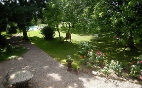 Phedre En Saone